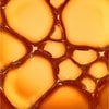 VITAMINA C