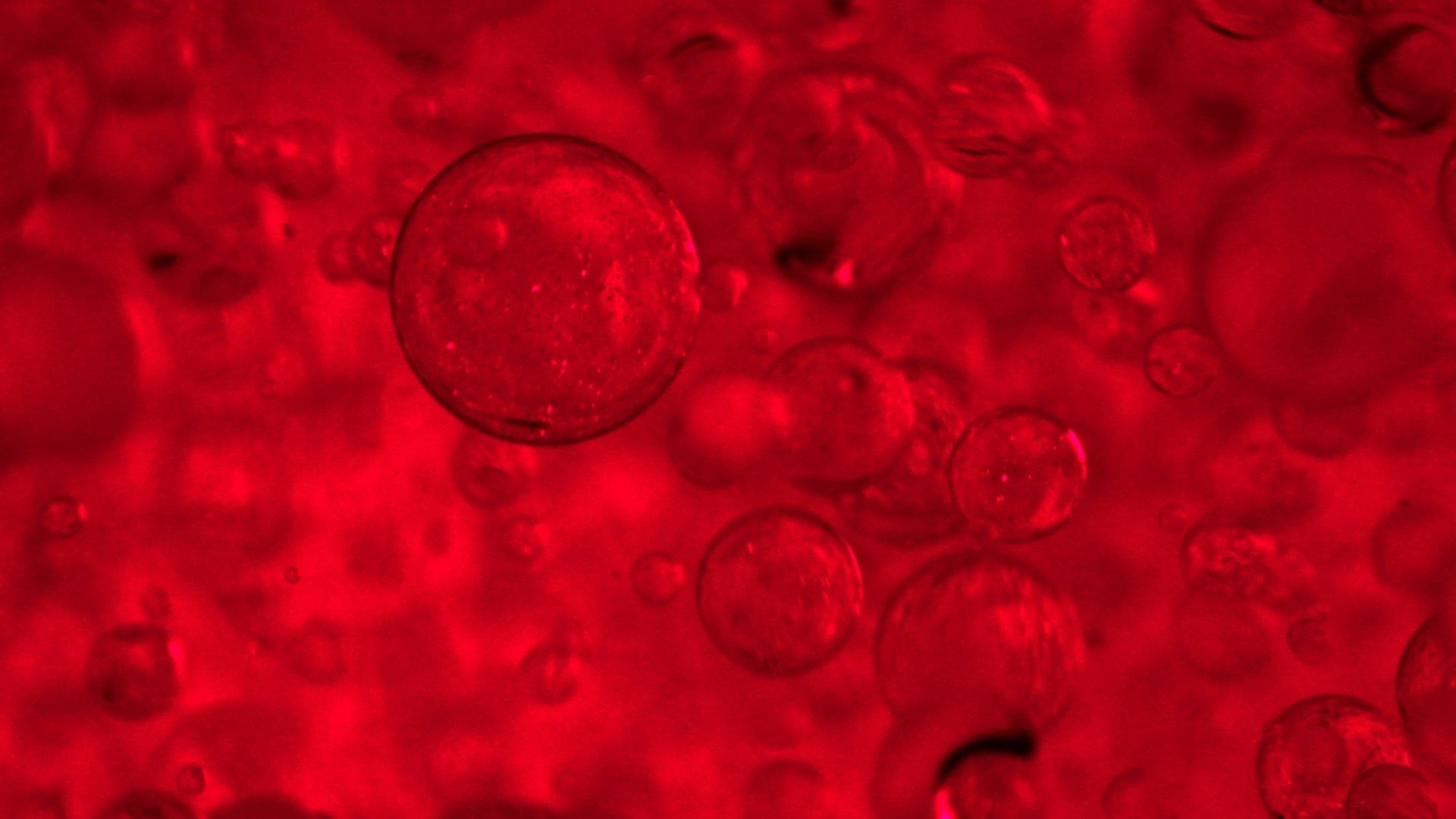 COMPLEJO PRO-COLLAGEN