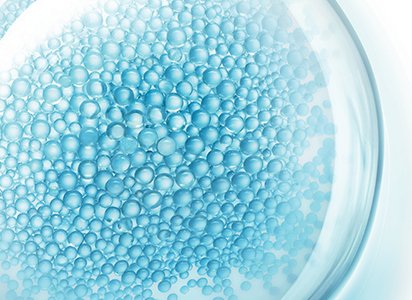 FRACCIONES DE PROBIÓTICOS